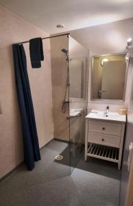 a bathroom with a shower and a sink at Les Chalets de SAUMUR, Piscine & Parc boisé, 100m du CadreNoir in Saumur