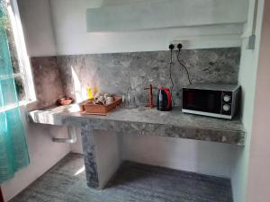 Un mostrador en una cocina con microondas. en Chez Madam Rose en Le Morne