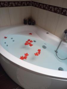 Fotografia z galérie ubytovania apartament simonka z jacuzzi zawoja v destinácii Zawoja
