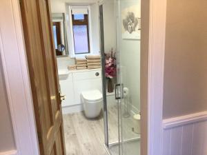 a bathroom with a toilet and a glass shower at Lyngarrie in Dufftown +16 photos