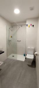 een badkamer met een douche en een toilet bij Casa Princesa Huelin in Málaga