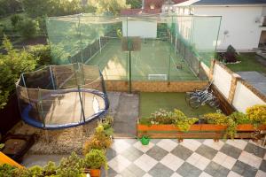 A garden outside Penzion Jople