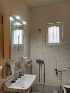 a bathroom with a sink and a toilet and a mirror at DESPINA SGPP in Argostoli