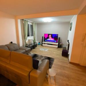 sala de estar con sofá y TV de pantalla plana en Appartement cosy Noisy le sec, en Noisy-le-Sec