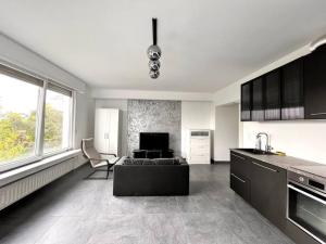 a large living room with a couch and a kitchen at Stylish Fully Equipped Studio Close to Centre in Luxembourg