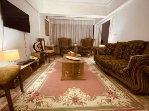 カイロにあるamazing Nile view fully furnished apartmentのソファとテーブルのあるリビングルーム