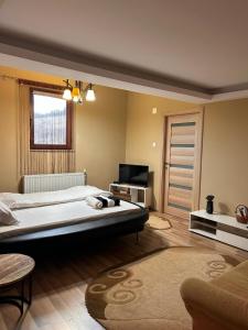 een grote slaapkamer met een groot bed en een televisie bij Colț de rai - camera de inchiriat in Reşiţa