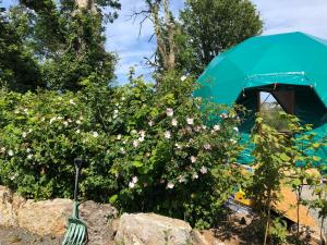 Benllech Glamping外面的花园