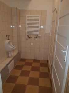 a bathroom with a urinal and a sink and a toilet at HOSTEL PARK-Dobraszczecińska in Szczecińska +20 photos