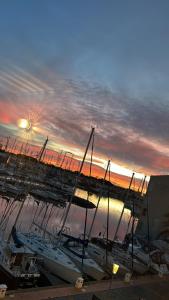 a group of boats docked in a marina at sunset at Studio cosy climatisé vue sur port in Cap d'Agde