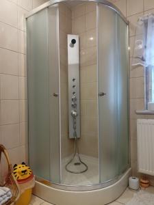 a shower with a glass door in a bathroom at Pod Małą Sową in Walim