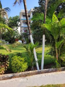 un complexe avec des palmiers et un bâtiment dans l'établissement Comfortable 1BHK Resort Aptmt with Pool at Candolim for 4 ppl, à Goa