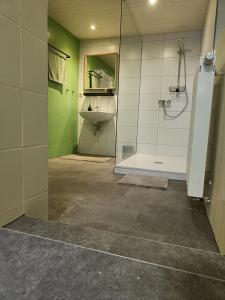 een badkamer met een douche en een glazen deur bij Charlys Ferienhaus (ALTSTADT VOLKACH) in Volkach