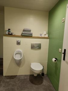 a bathroom with a toilet and a sink at Charlys Ferienhaus (ALTSTADT VOLKACH) in Volkach +22 photos