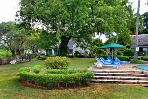 een tuin met blauwe ligstoelen en een boom bij Mnarani Beach Club in Kilifi