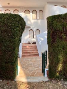 ハベアにあるSan Esteban, Javeaの緑の生垣のある階段のある建物