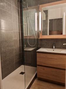 ein Bad mit einer Dusche und einem Waschbecken in der Unterkunft Résidences du golf in Saint-Raphaël