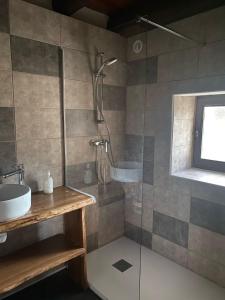 W łazience znajduje się prysznic i umywalka. w obiekcie Gîte de la Séoube w mieście Campan