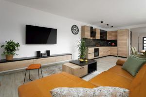 un salon avec un canapé et une télévision dans l'établissement Casa Oliveto by Briskva, à Labin