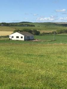 a white barn in a field of green grass at Inishroel Cottage in Campbeltown
