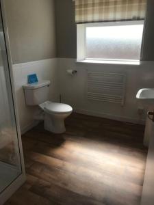 a bathroom with a white toilet and a window at Inishroel Cottage in Campbeltown +11 photos
