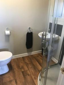 een badkamer met een douche, een toilet en een wastafel bij Inishroel Cottage in Campbeltown