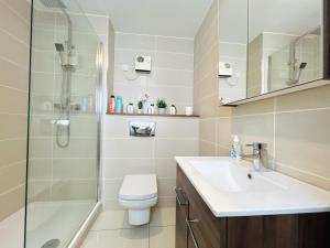 uma casa de banho com um WC, um lavatório e um chuveiro em Lovely Spacious Apartment At Temple Bar em Dublin