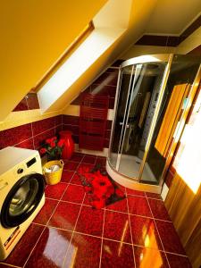 eine Küche mit einer Waschmaschine und einem roten Fliesenboden in der Unterkunft Spa Residence Családi Wellness Apartman in Veszprémfajsz