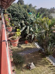 Taman di luar Hotel Vibe by Solitary