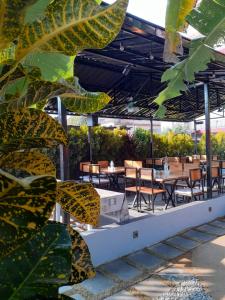 Restoran atau tempat lain untuk makan di Hotel Vibe by Solitary