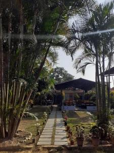 Taman di luar Hotel Vibe by Solitary