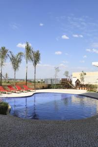 a large swimming pool with chairs and palm trees at Vitória Hotel Convention Paulínia in Paulínia