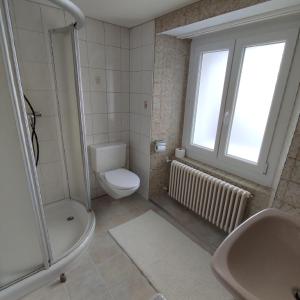a bathroom with a toilet and a sink and a window at Haus Albula in Alvaneu
