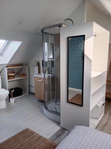 uma casa de banho com um chuveiro e um WC num quarto em La Salicorne, maison d'hôtes. em Brévands