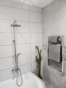 ein Badezimmer mit einer Dusche und einer weißen Badewanne in der Unterkunft Casa Salvia Guesthouse Icod de los Vinos in Icod de los Vinos