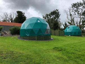 Benllech Glamping外面的花园