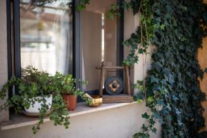 um peitoril de janela com vasos de plantas e um relógio sobre ele em Gate Away B&B Units - המקום באל רום em El-Rom