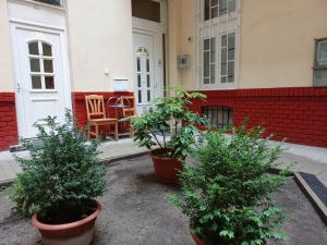 Vonkajšia záhrada v ubytovaní Downtown Acacia str Apartment