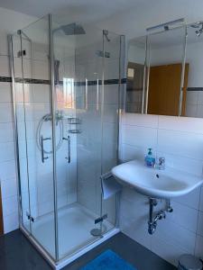 uma casa de banho com um lavatório e uma cabina de duche em vidro. em Ferienwohnung em Emmingen-Liptingen