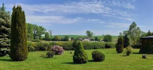 a garden with trees and bushes and a house at Agroturystyka u Janeckich in Czarny Młyn