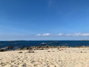 Un grupo de focas descansando en la playa en Luz de Mar, en O Grove