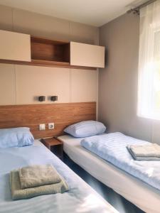 Cette chambre comprend 2 lits et une fenêtre. dans l'établissement Rêve d'été - Camping Belle-Vue 2000, à Berdorf