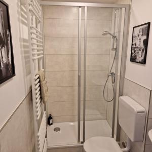a bathroom with a shower and a toilet at PANORAMA INN - nahe Messe contaktless check-in in Hannover