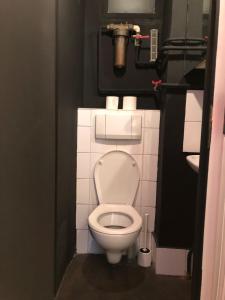ein kleines Bad mit WC in einer Kabine in der Unterkunft Beautiful studio in the heart of Le Marais in Paris