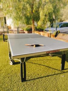 una mesa de ping pong con una pelota de ping pong. en Emplacement idéal dans le Var ! en Cuers