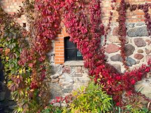 a building with a heart made out of red flowers at Folwark Mazurskie Legendy - Azyl dla Dorosłych in Kruklanki