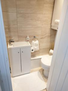 a small bathroom with a toilet and a sink at Swan Lake Lodge & free parking in Cardiff