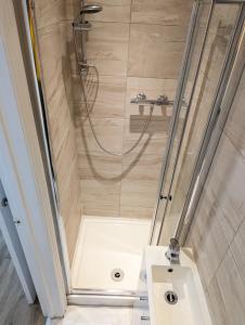 uma casa de banho com um chuveiro e um lavatório. em Swan Lake Lodge & free parking em Cardiff