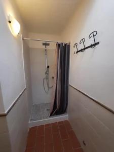 ein Bad mit Dusche und Duschvorhang in der Unterkunft Suite Rose in Camerano