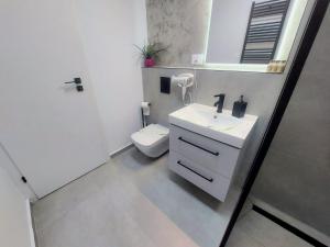 a bathroom with a sink and a toilet and a mirror at Anastasia Luxury Apartment in Sinaia